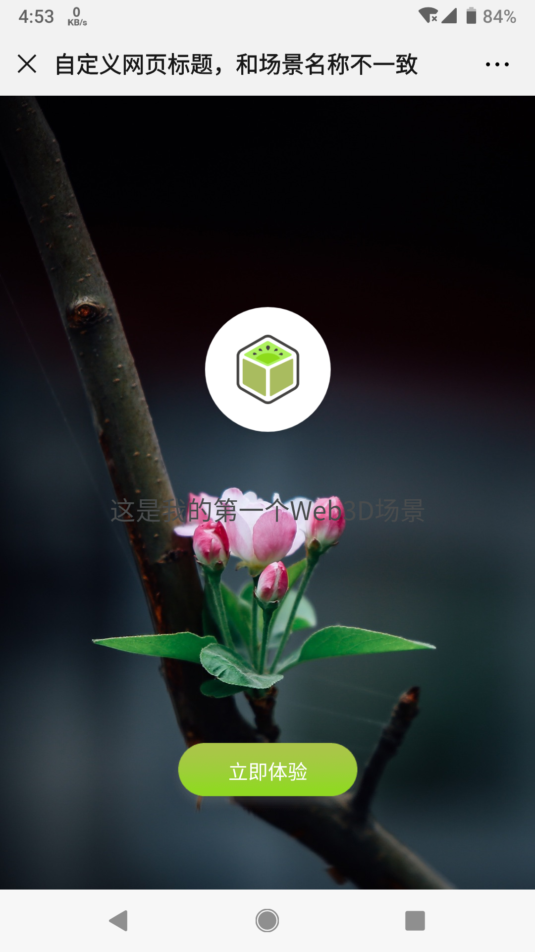 自定义场景的网页标题