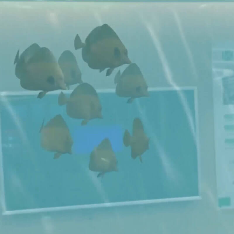 视频海报