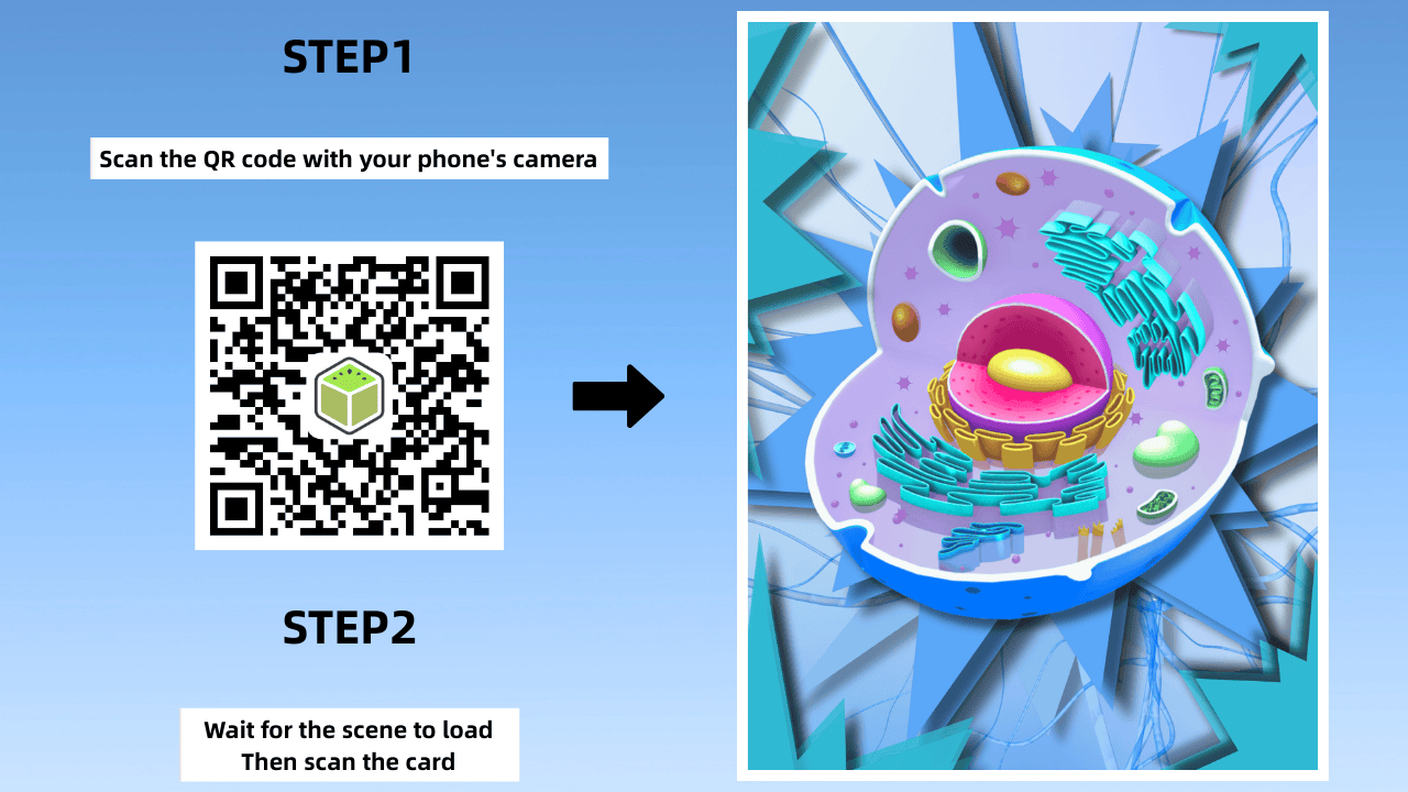 Scan the QR code to launch the AR cell card you made