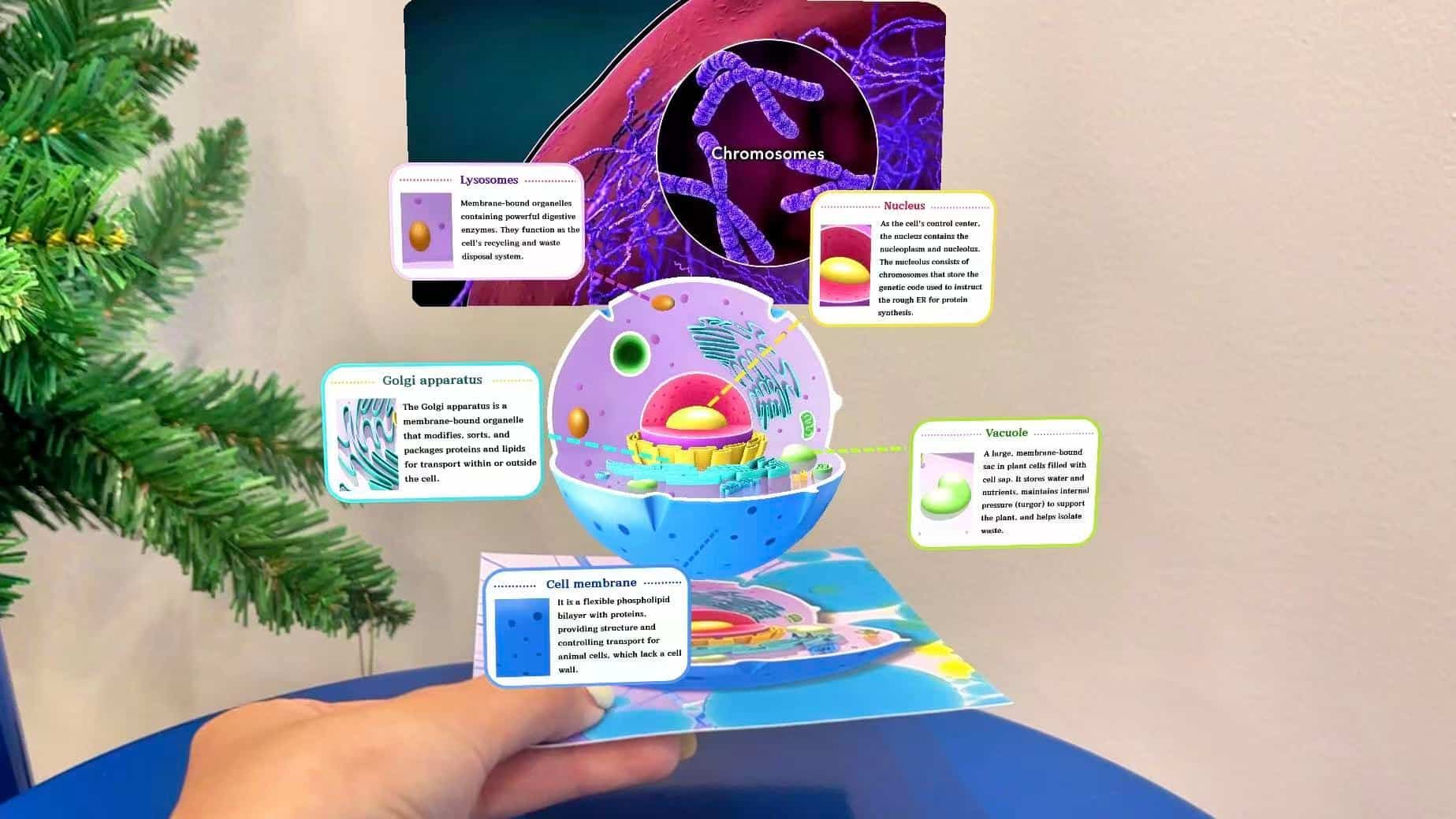 AR learning card: 3D cell anatomy model for educational AR kits.