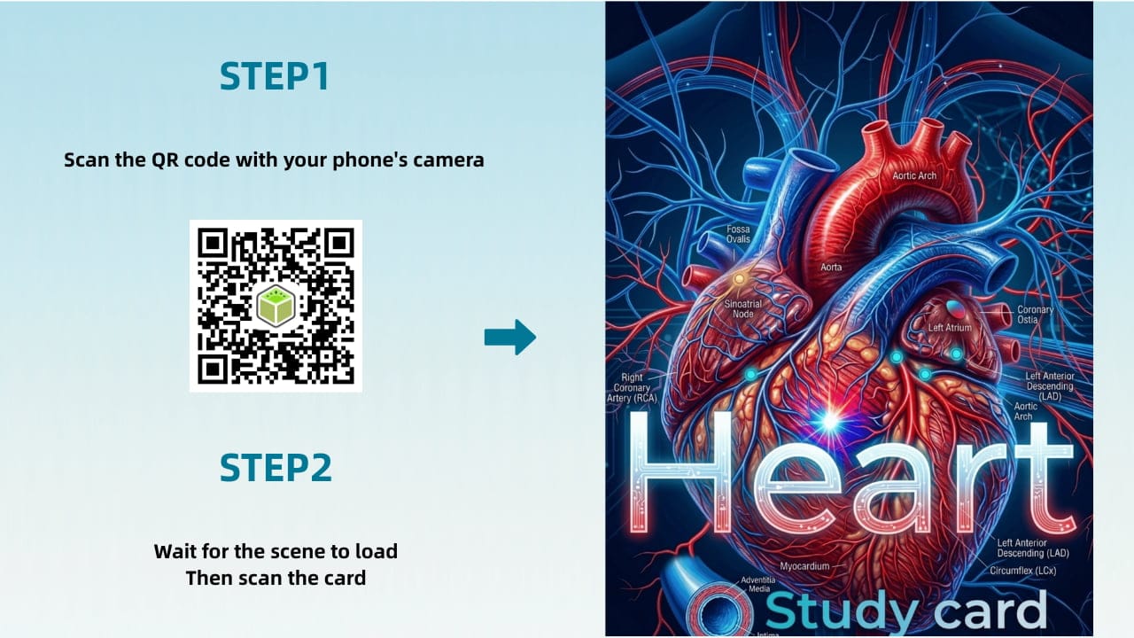 Scan the QR code to experience AR Heart Learning Card