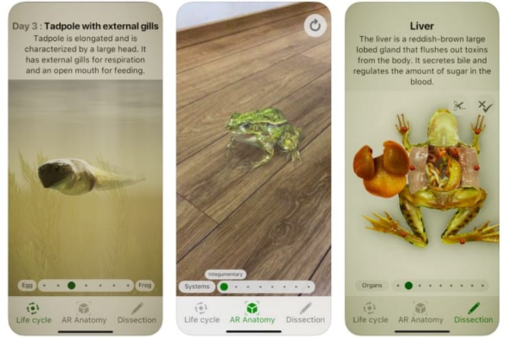 Augmented Reality Biology Example Froggipedia Biology