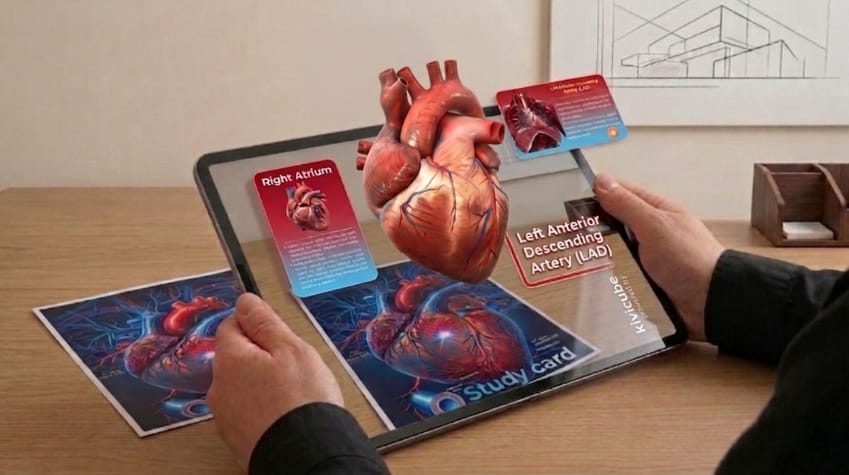 Augmented Reality Biology Use Case Anatomy Visualization