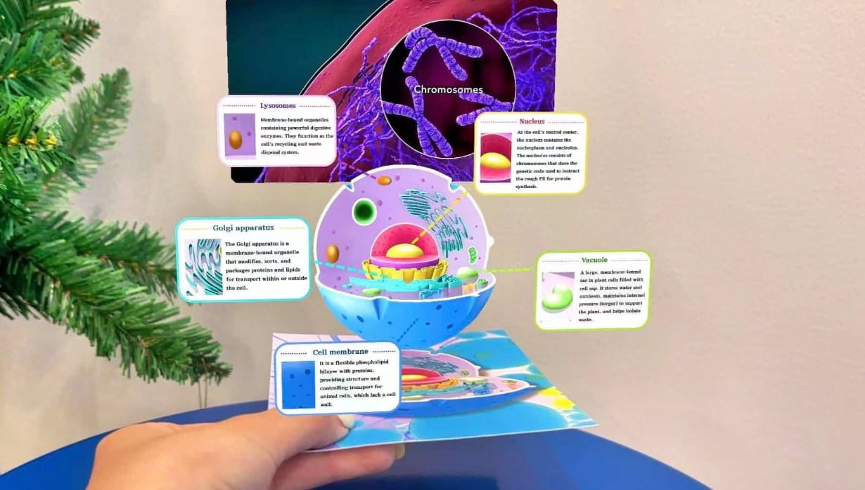 Augmented Reality Biology Use Case Cell Microscopic