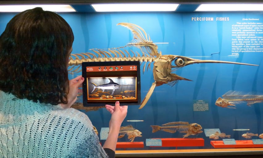 Web Based AR Exmaples Smithsonian AR Museum