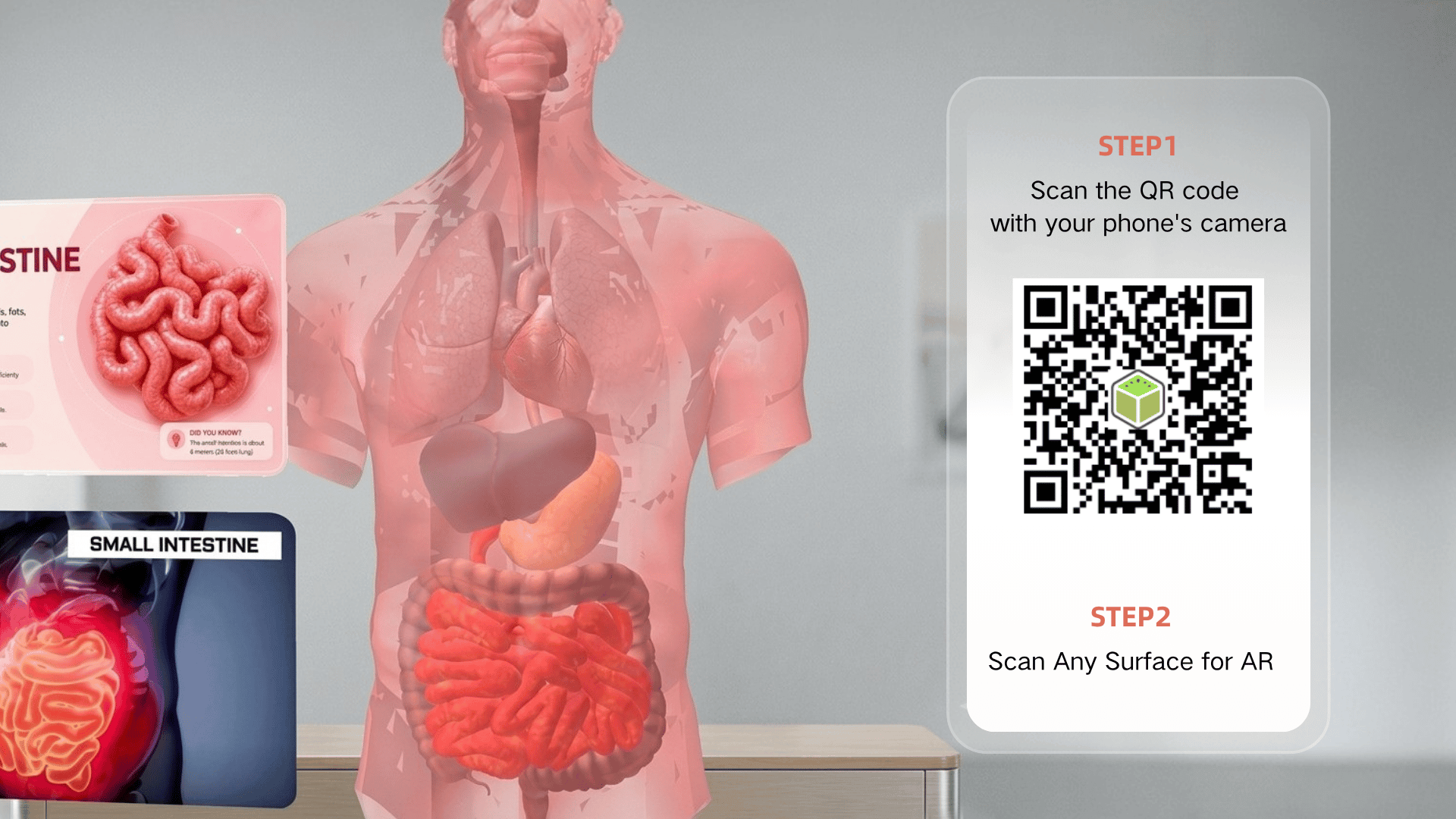 Scan to Experience Augmented Reality Anatomy