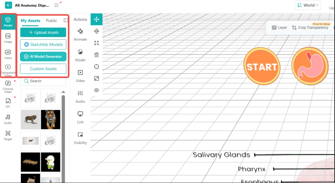 Augmented Reality Medical Upload Asstes