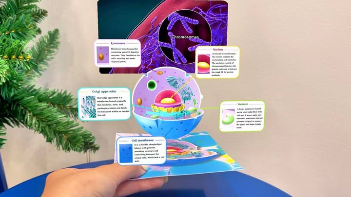 Learning the structure of animal cells through AR,  Image source：Kivicube